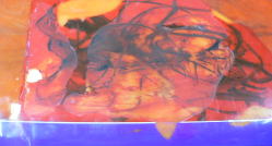 �I�[�o�[�z�[�� twin 2